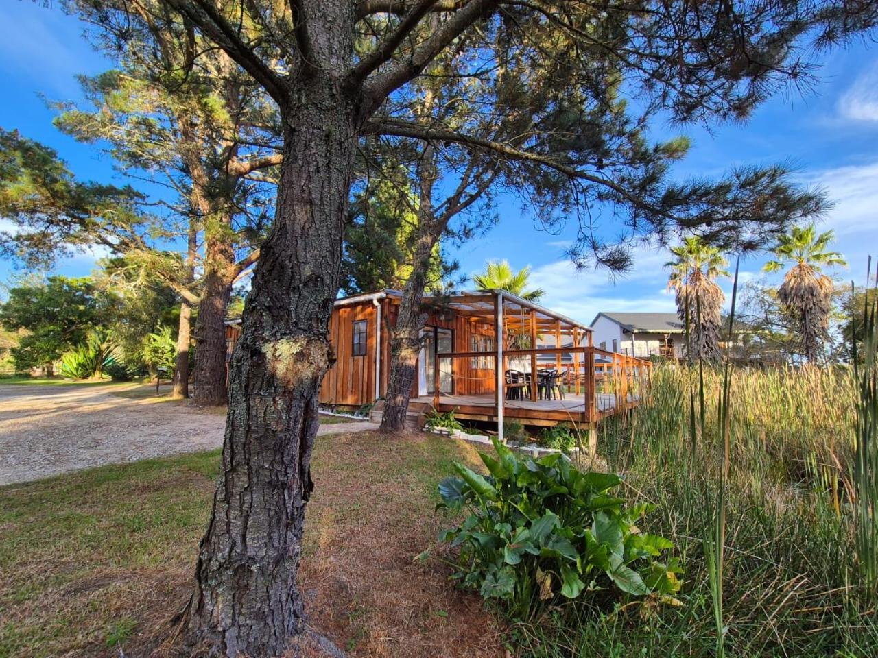Forest Gate Resort Плеттенберг-Бей Экстерьер фото